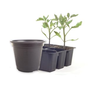 Flower Pots and Flats